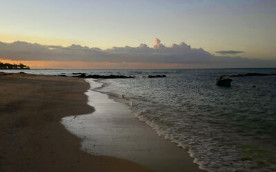 Mauritius: The Island That Spoke NLP Before NLP Existed